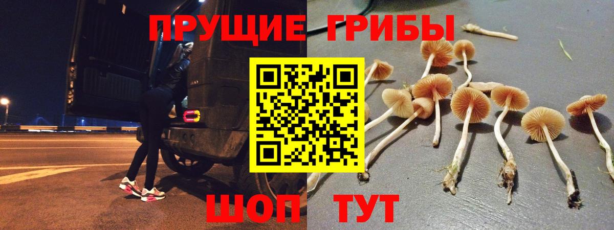 купить   Псилоцибиновые грибы прущие грибы  Вход с VPN  Верхняя Пышма 